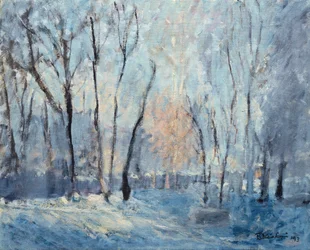 庭の雪、1993
